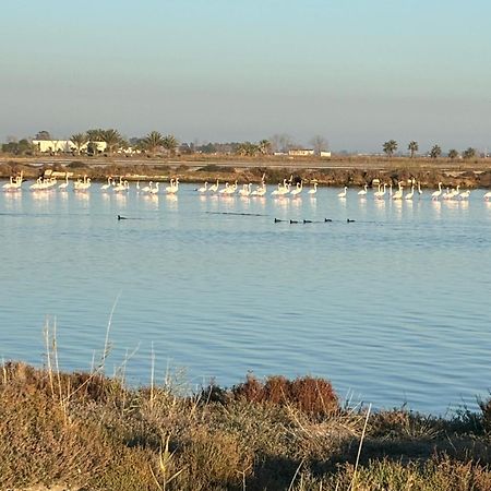 Cal Music OtPoblenou del Delta Dış mekan fotoğraf