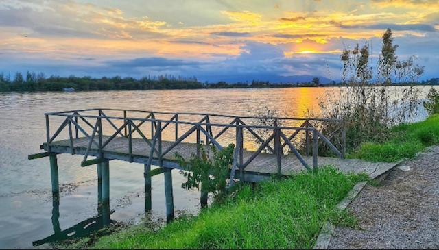 Cal Music OtPoblenou del Delta Dış mekan fotoğraf