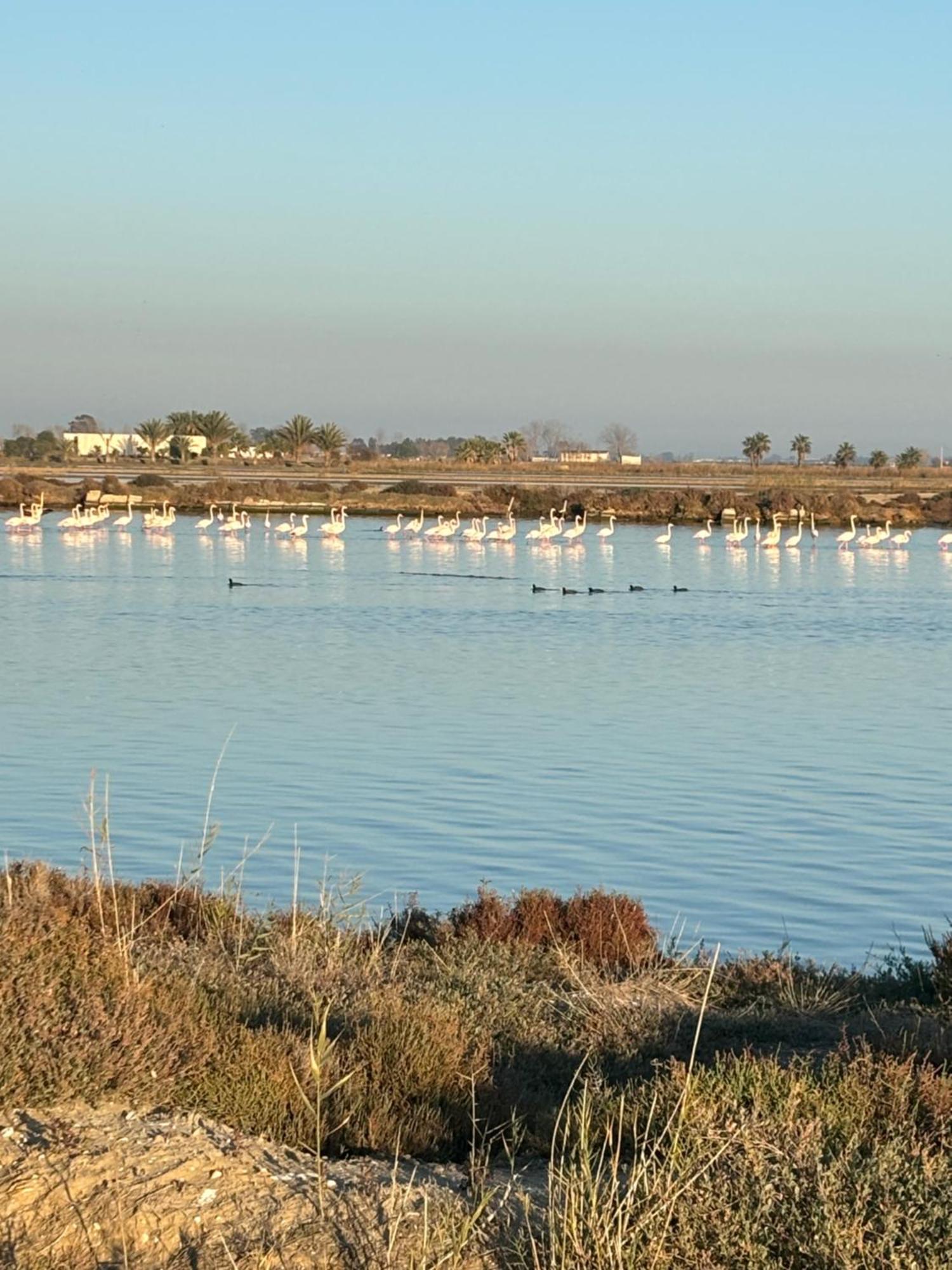 Cal Music OtPoblenou del Delta Dış mekan fotoğraf
